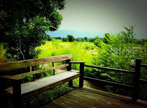 Resort Wangnamkeaw In Love 11