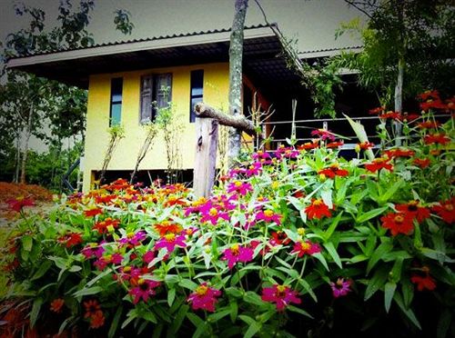 Resort Wangnamkeaw In Love 13