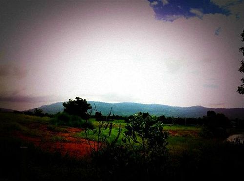 Resort Wangnamkeaw In Love 15