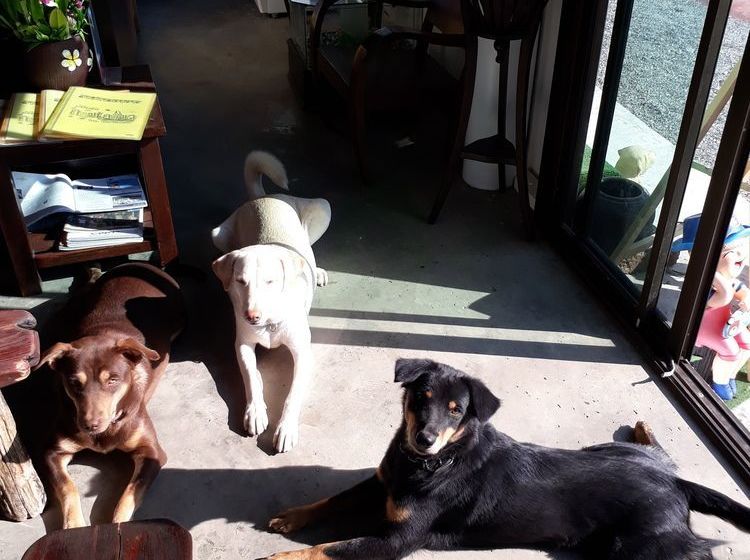 Hotel Klomkyo Resort Chao Lao Beach