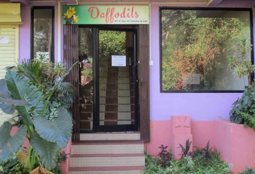 Pensión Daffodils Guest House