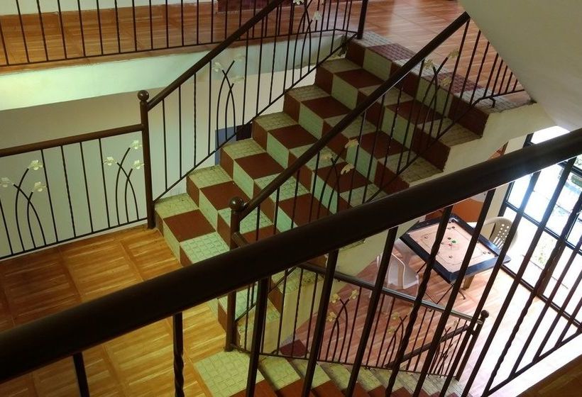 Pension Daffodils Guest House 17