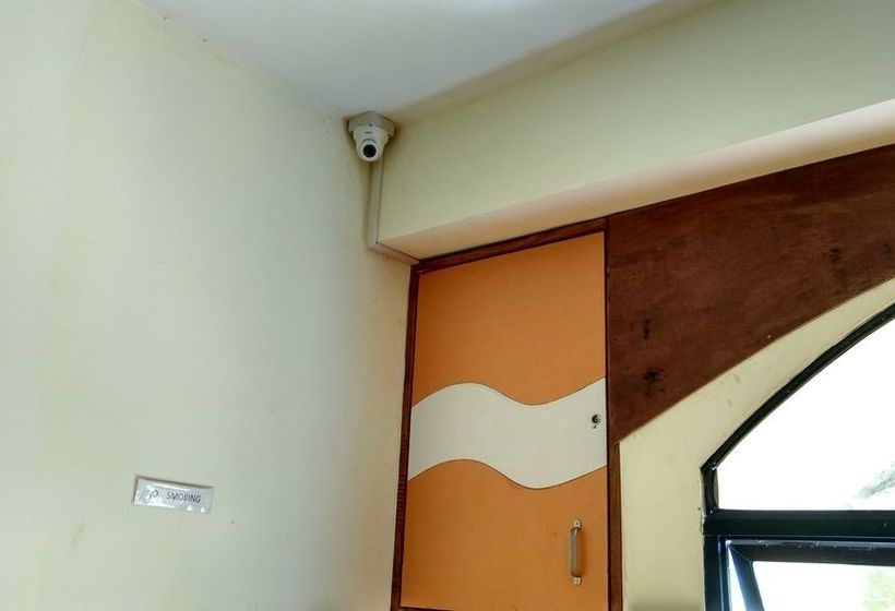 Pension Daffodils Guest House 18