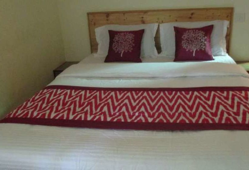 Pension Daffodils Guest House 2