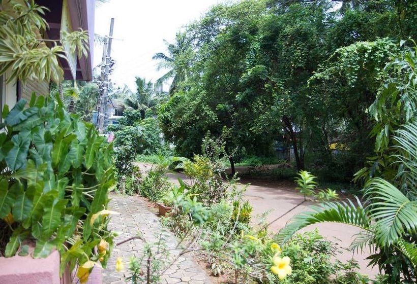 Pension Daffodils Guest House 20