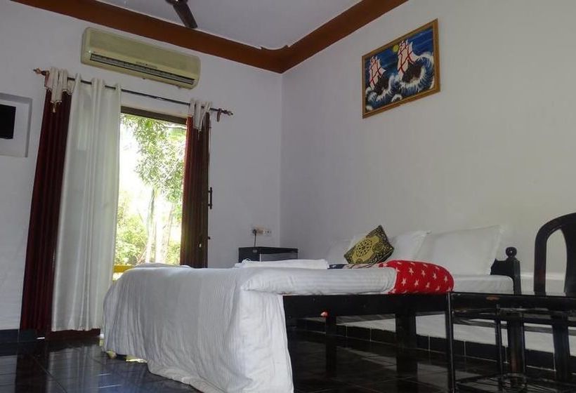 Pension Thomson House 15