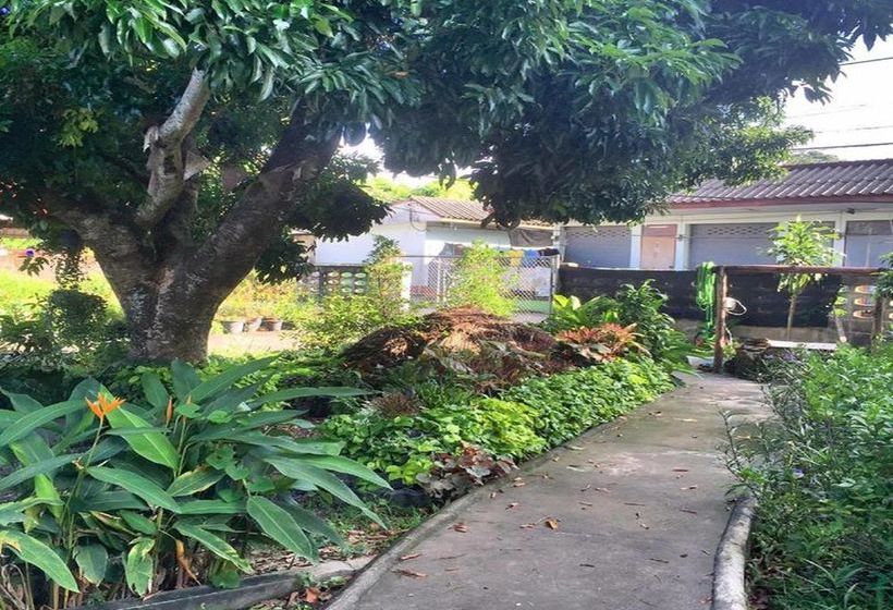 Pension Banban Homestay 20