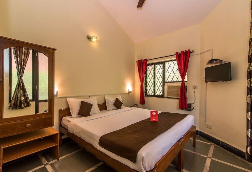 Oyo 10424 Hotel Bigg Daddy