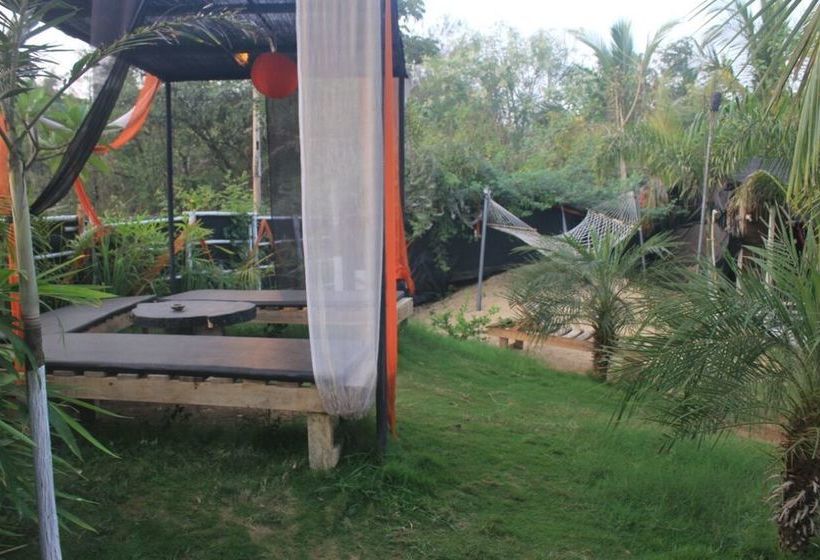 Boatys Beach Cottages 11