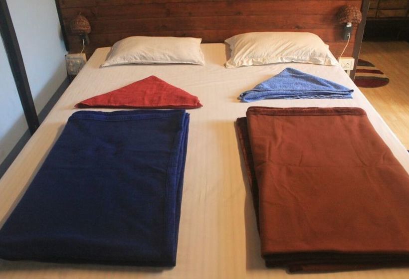 Boatys Beach Cottages 5