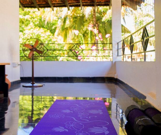 Bed and Breakfast Casa De Tartaruga 11