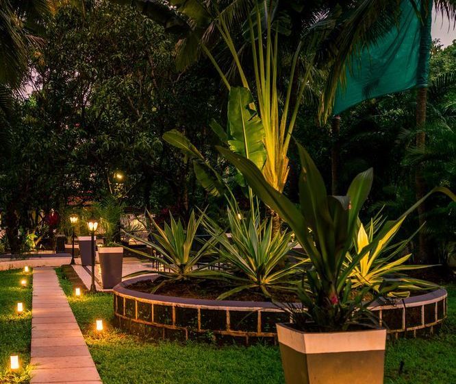 Bed and Breakfast Casa De Tartaruga 18