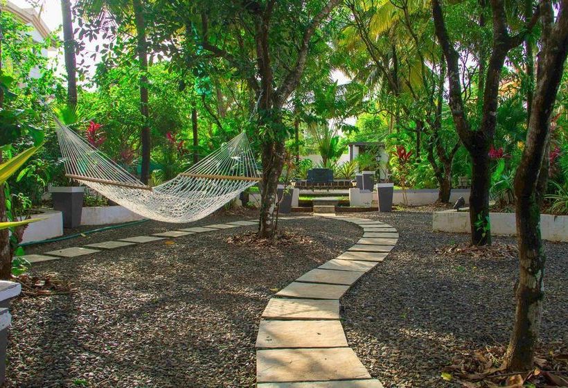 Bed and Breakfast Casa De Tartaruga 19