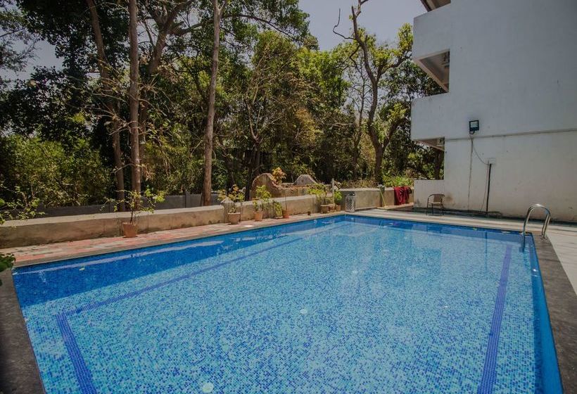 Oyo 14206 Home Graceful Studio Calangute 9