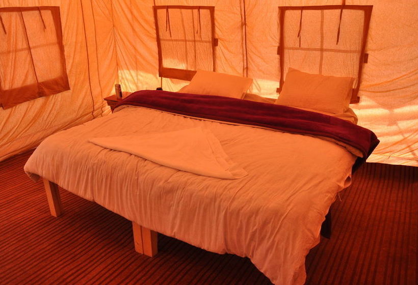 Hotel The Ladakh Camp 6