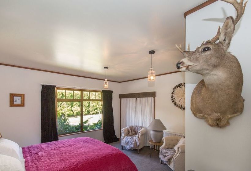 Hotel Cardrona Valley Lodge 14