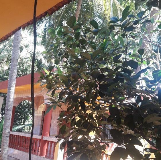 Pension Ashley Haven Beach House 4