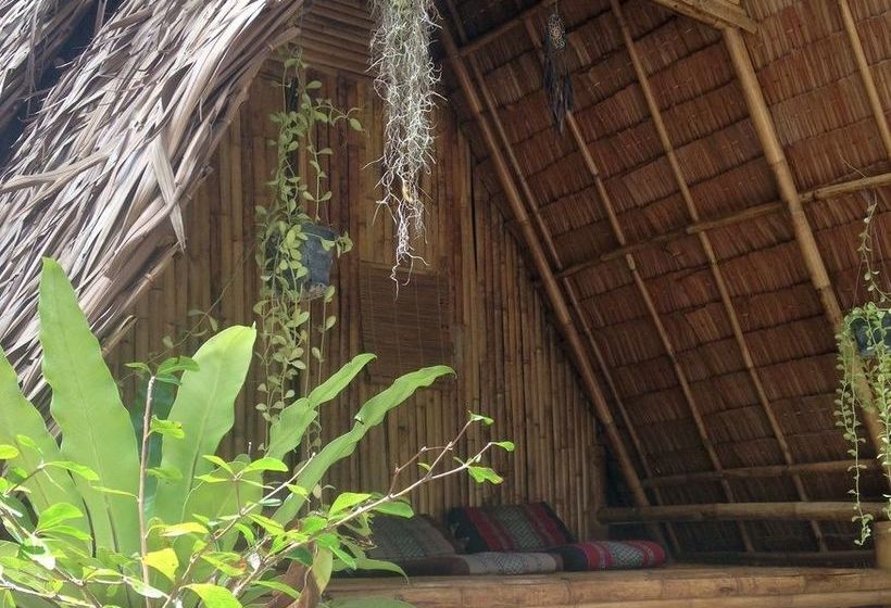 Hotel Lipe Camping Zone & Bungalows 5