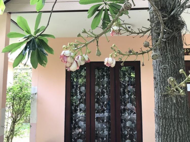 Hotel Green Leaf Resort 19