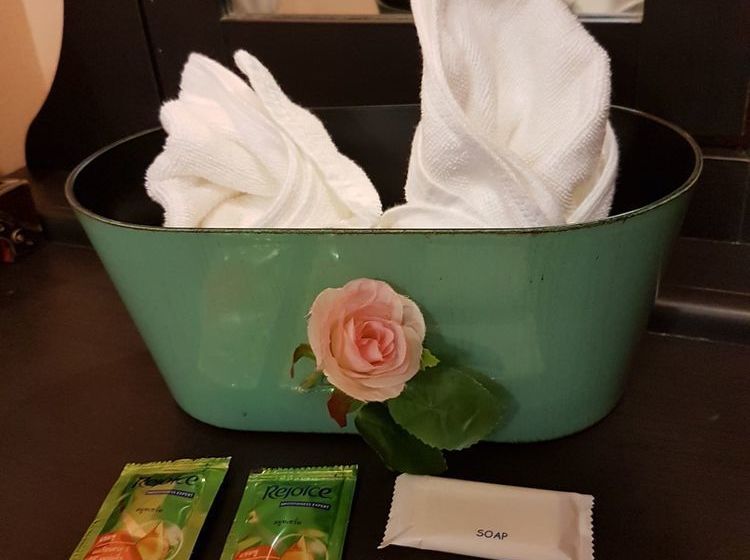 Hotel Green Leaf Resort 6