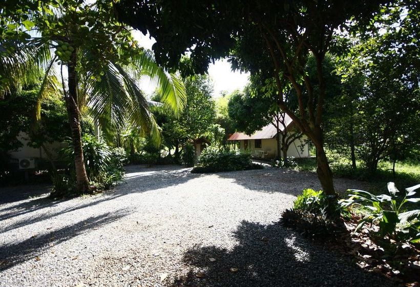 Hotel Areeya Resort 15