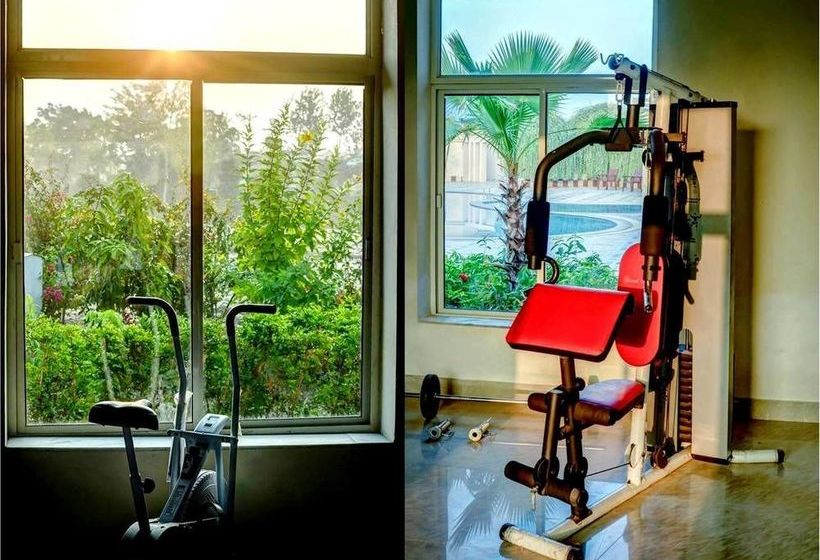 Gajraj Trails Resort 12