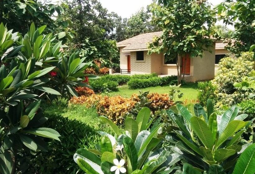 Olive Resorts & Villas Awarghani