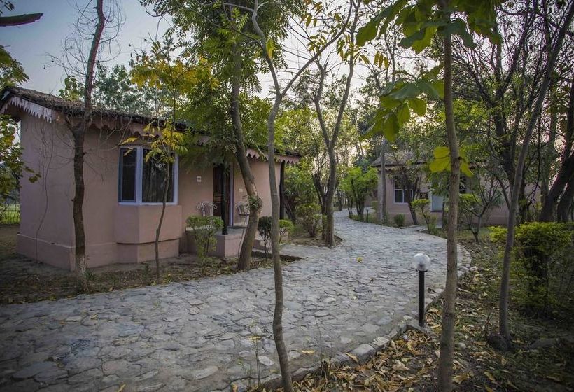 Ashoka's Tiger Trail Resort 15