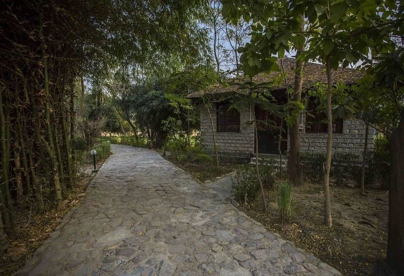 Ashoka's Tiger Trail Resort 20