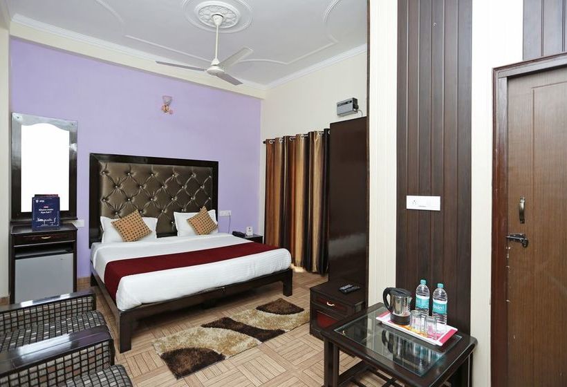 Hotel Vishla Palace 4
