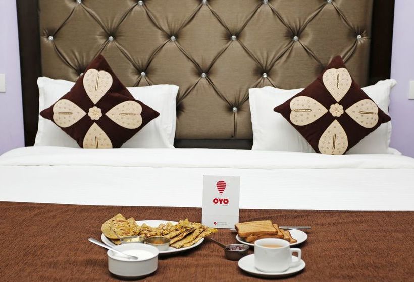 Hotel Vishla Palace 9