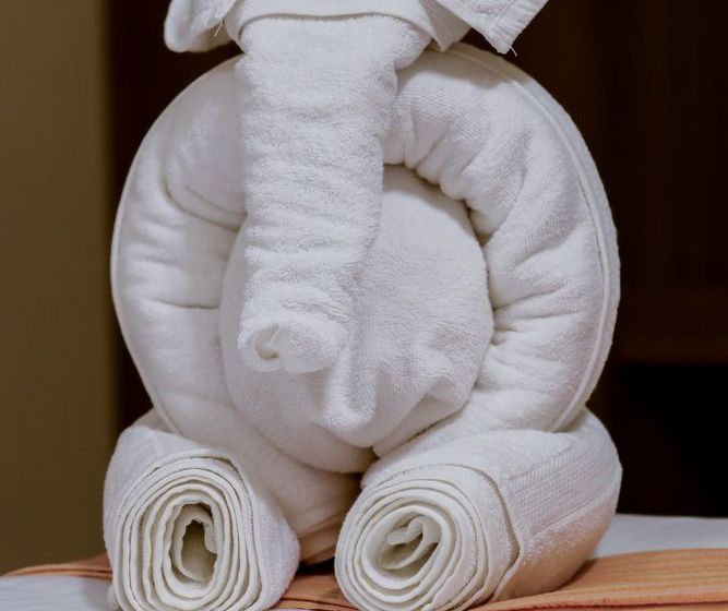 Hotel Brindhavan Residency 4