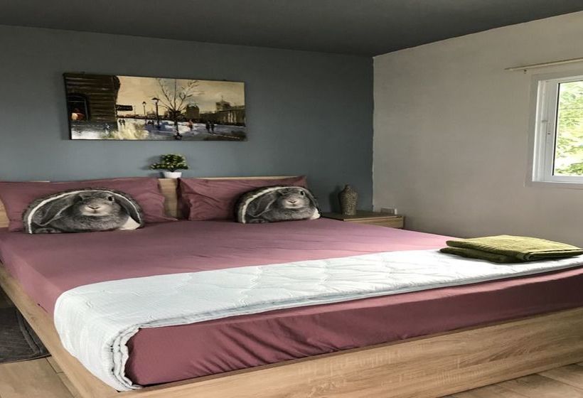 Pension Mr.yong Tour & Homestay 2