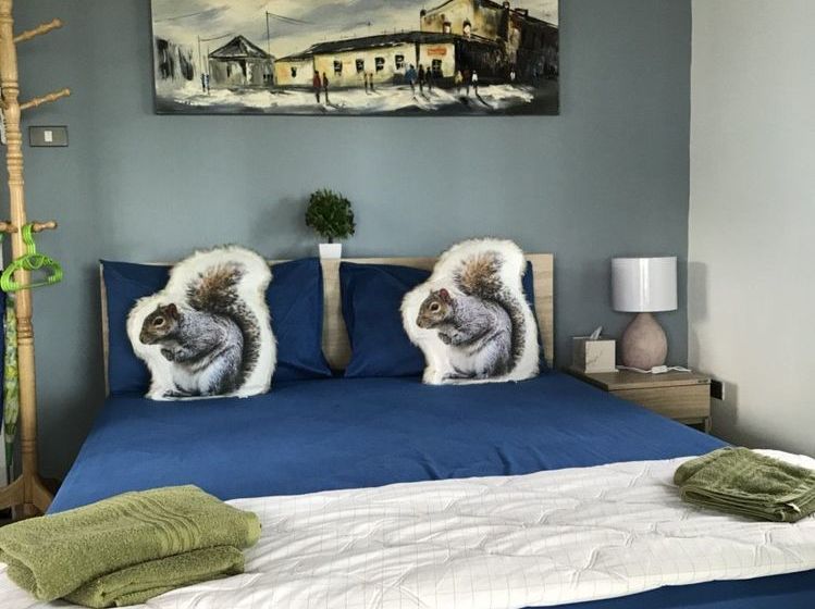 Pension Mr.yong Tour & Homestay 4