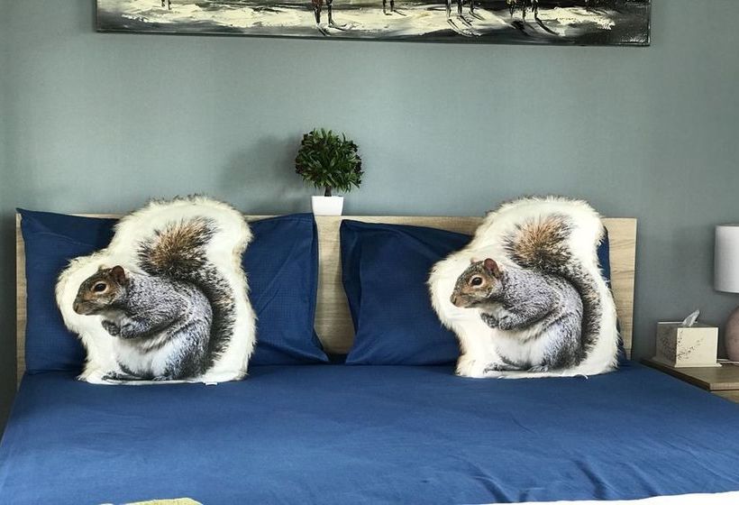 Pension Mr.yong Tour & Homestay 6