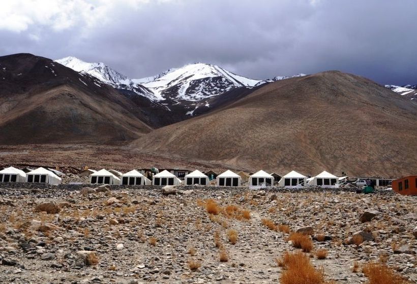 Hotel Ladakh Summer Camp-pangong Lake 10