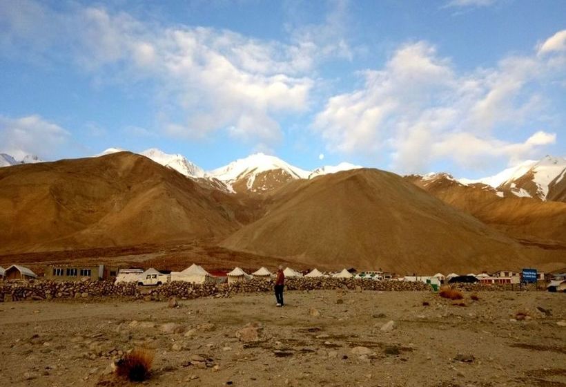 Hotel Ladakh Summer Camp-pangong Lake 14