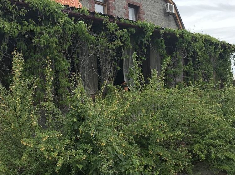 Hotel Staryy Zamok 18