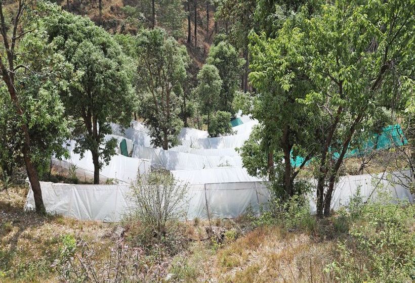 Oyo 13785 Home Boutique 2bhk Ramgarh Nainital 19