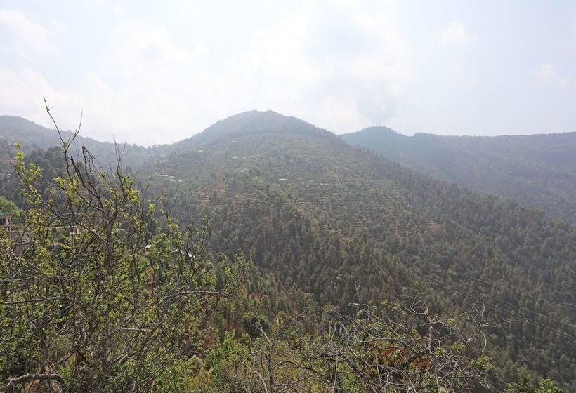 Oyo 13785 Home Boutique 2bhk Ramgarh Nainital 20