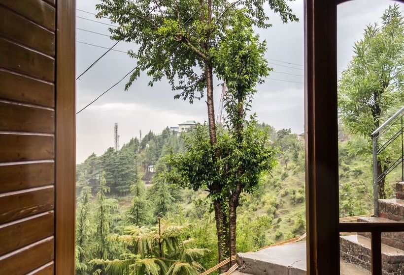 Oyo 13881 Home Majestic Hill View 1bhk Naddi 12