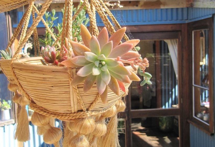 Pension Waiheke Island Guesthouse 12