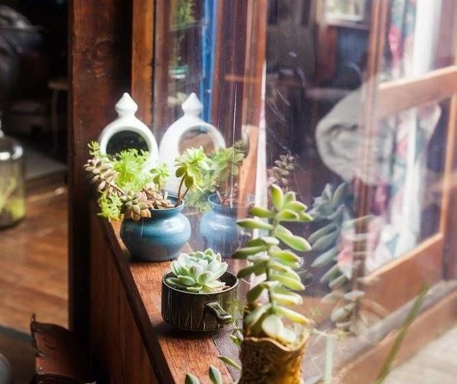 Pension Waiheke Island Guesthouse 7