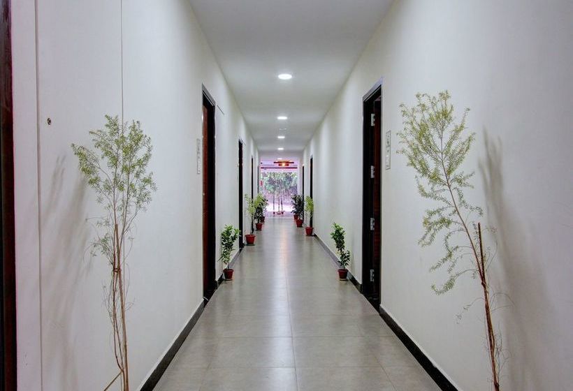 Hotel Oyo 15703 Dream Star Paradise 19