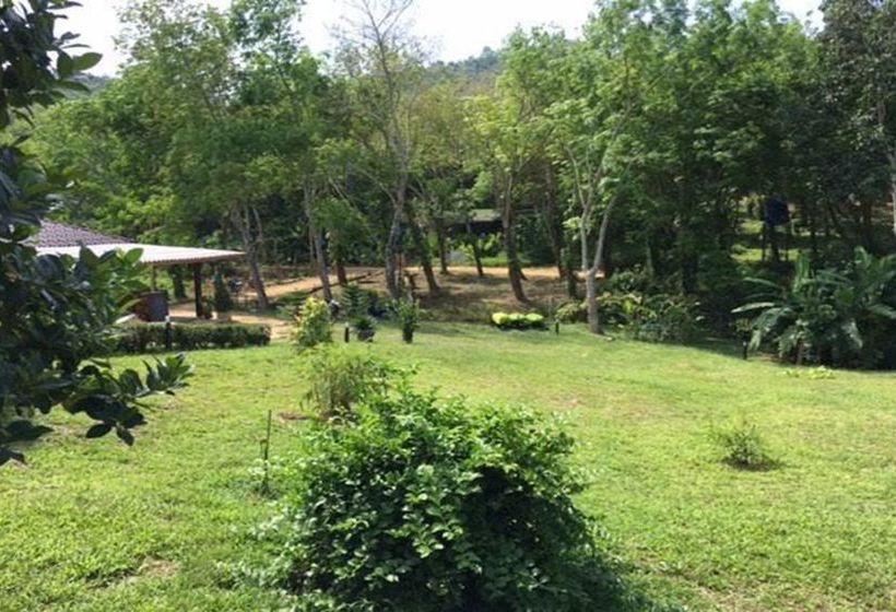 Hotel Mookies Bungalow 12