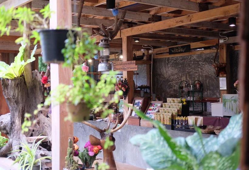 Pension Baan Suan Auy Kham 10