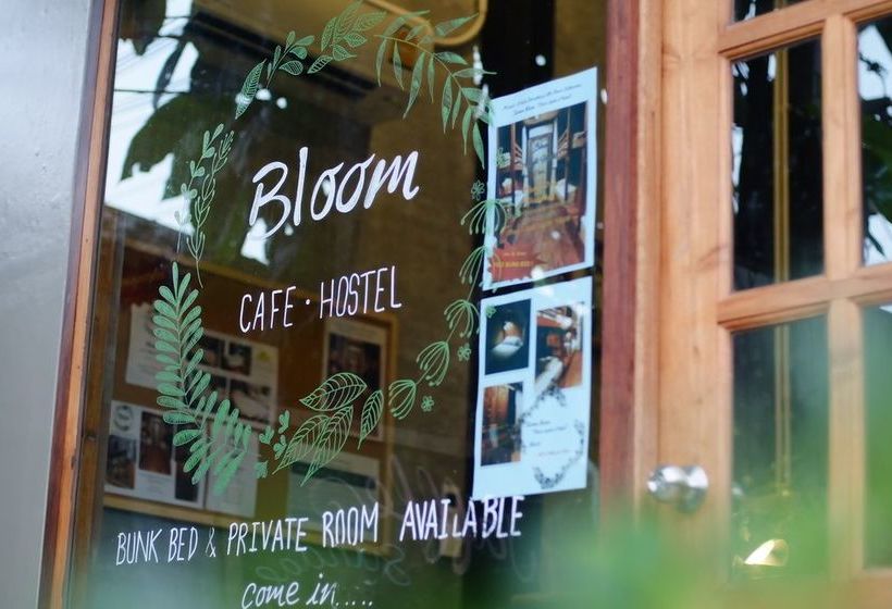 Bloom Cafe & Hostel