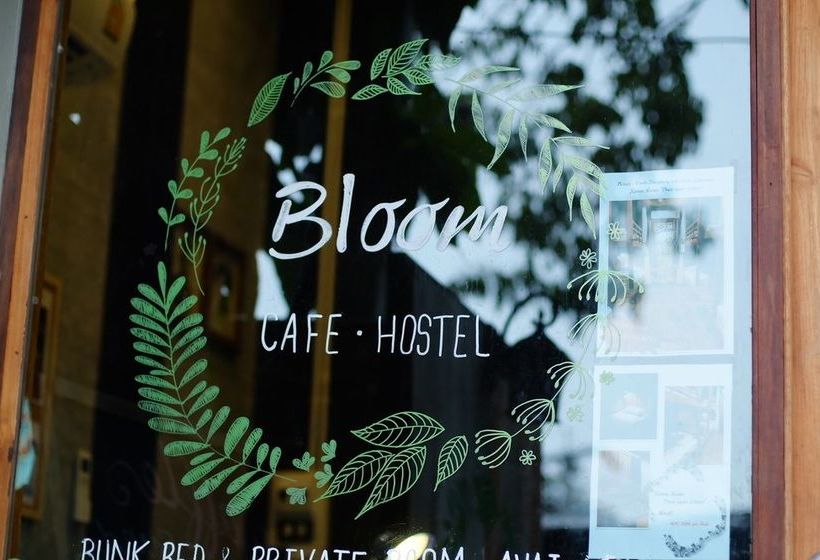 Bloom Cafe & Hostel 2