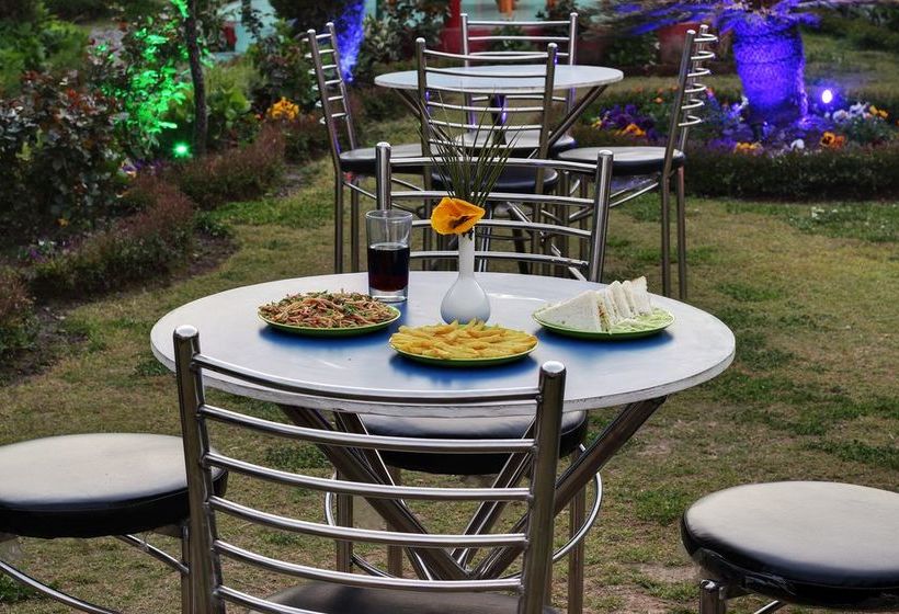 Hotel The Silver Tree Inn 17