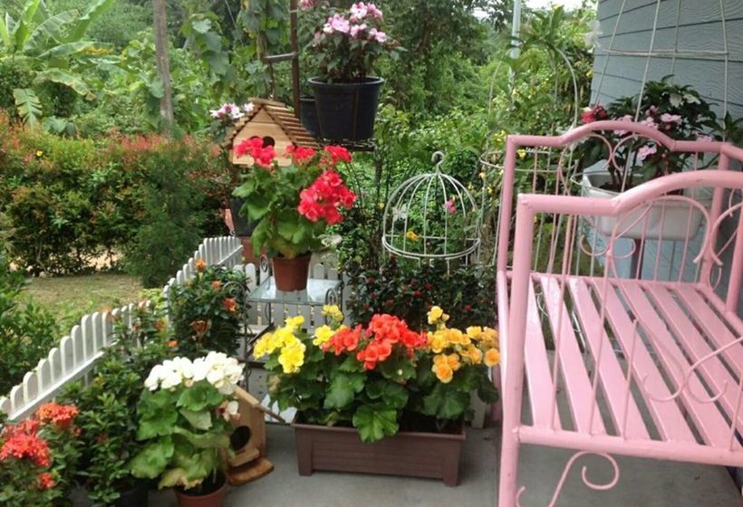 Pension Baan Jaokorkluay 16